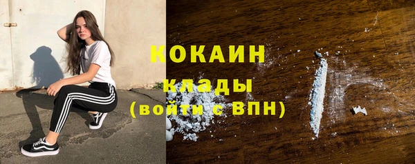 PSILOCYBIN Аркадак
