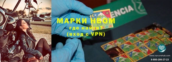 прущие грибы Ростов