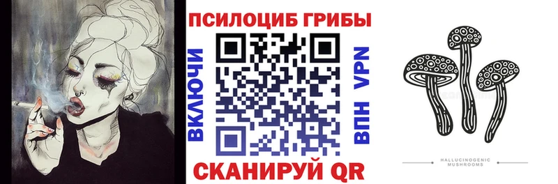Галлюциногенные грибы Psilocybine cubensis  Берёзовский 